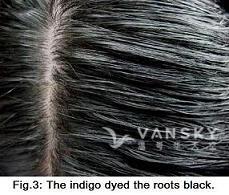 250403110953_Hair-Dyed with indigo-s.jpg